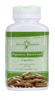 japanese knotweed supplement