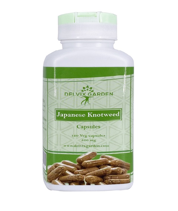 japanese knotweed supplement
