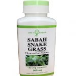 Sabah Snake Grass Supplement Capsules - Clinacanthus Nutans Extract, 500mg, 120 Count: Natural Herb for Wellness