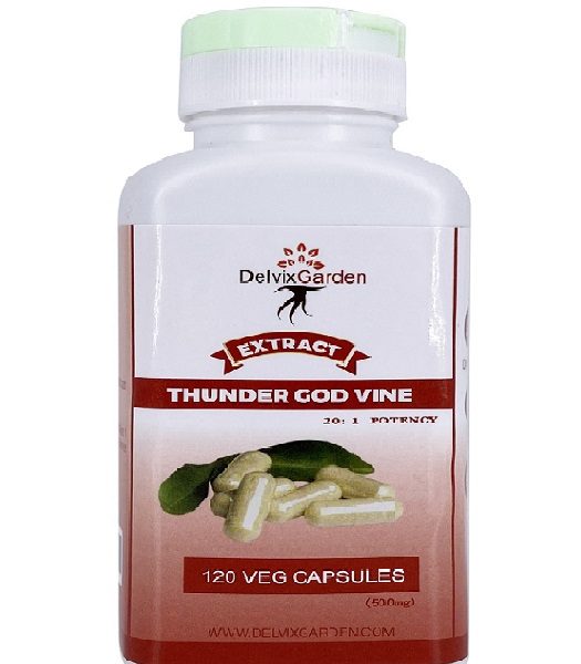 Thunder god vine