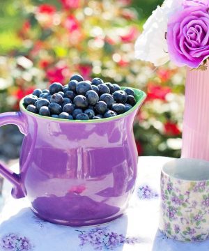 Blueberry Benefits