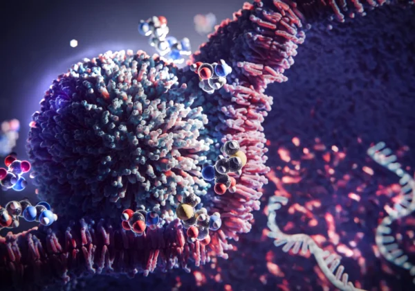 This simple 3-amino acid trick boosts mRNA therapy 20-fold