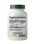 Probiotics for Bloating