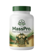 Protein Powder for Muscle Gain