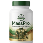 Protein Powder for Muscle Gain