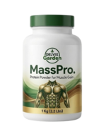 Protein Powder for Muscle Gain
